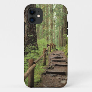 WA, Olympic NP, Sol Duc Valley, regenwoud iPhone 11 Hoesje