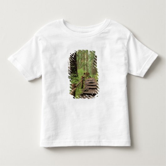 WA, Olympic NP, Sol Duc Valley, regenwoud Kinder Shirts (Voorkant)