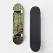WA, Olympic NP, Sol Duc Valley, regenwoud Skateboard (Voorkant)
