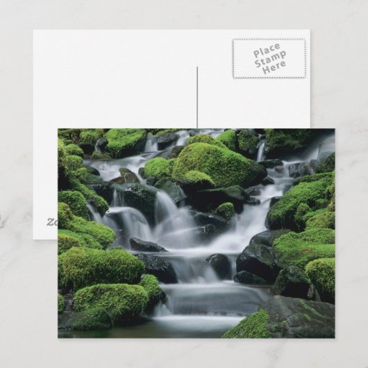 WA, Olympic NP, Sol Duc Valley, stroom met Briefkaart (Voorkant / Achterkant)