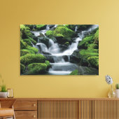 WA, Olympic NP, Sol Duc Valley, stroom met Canvas Afdruk (Insitu (Woonkamer))