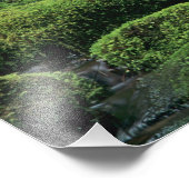 WA, Olympic NP, Sol Duc Valley, stroom met Foto Afdruk (Hoek)