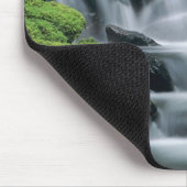 WA, Olympic NP, Sol Duc Valley, stroom met Muismat (Hoek)