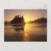 WA, Olympic NP, Tweede strand bij zonsondergang Briefkaart (Voorkant)