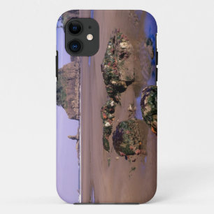 WA, Olympic NP, Tweede strand met getijdenpoelen e Case-Mate iPhone Case