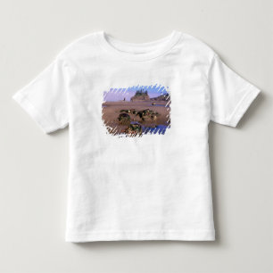 WA, Olympic NP, Tweede strand met getijdenpoelen e Kinder Shirts