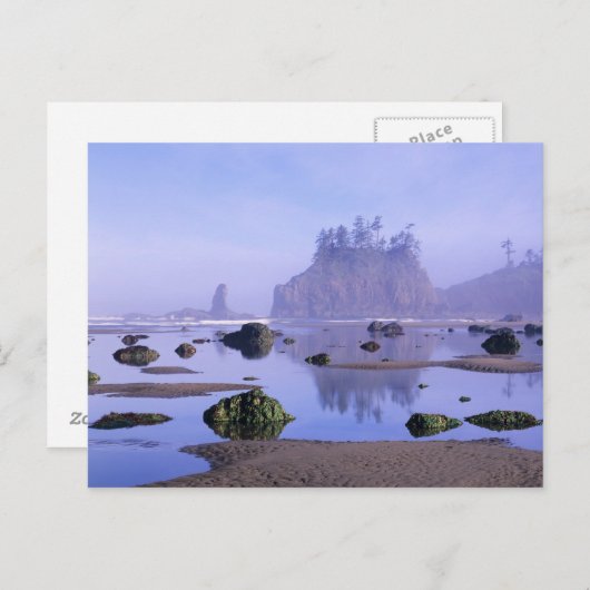 WA, Olympisch Nationaal Park, Tweede strand, Briefkaart (Voorkant / Achterkant)