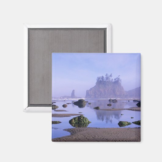 WA, Olympisch Nationaal Park, Tweede strand, Magneet (Voorkant / Achterkant)