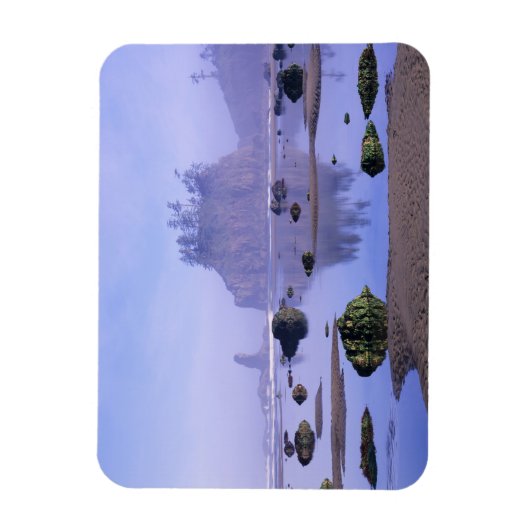 WA, Olympisch Nationaal Park, Tweede strand, Magneet (Verticaal)