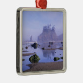 WA, Olympisch Nationaal Park, Tweede strand, Metalen Ornament (Rechts)