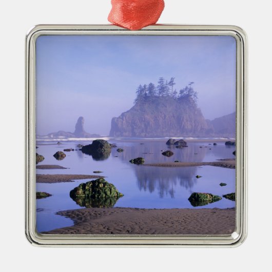 WA, Olympisch Nationaal Park, Tweede strand, Metalen Ornament (Voorkant)