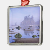 WA, Olympisch Nationaal Park, Tweede strand, Metalen Ornament (Links)