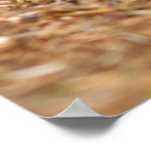 WA, Redmond, Oosterse katoenstaart-baby konijn Poster (Hoek)