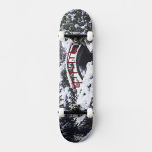 WA, Seattle, Maanbrug en vijver na winter 2 Persoonlijk Skateboard