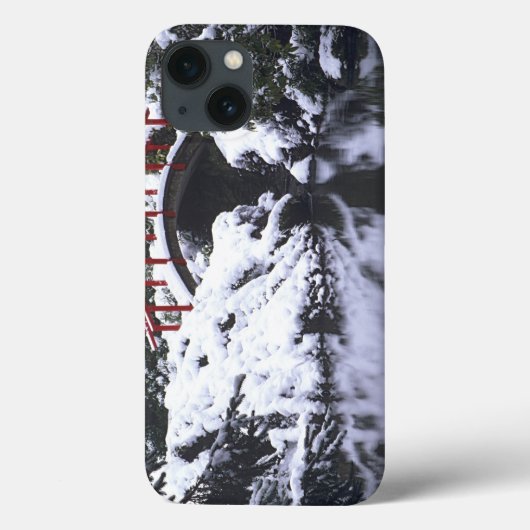 WA, Seattle, Moon bridge en vijver na winter 2 Case-Mate iPhone Case (Achterkant)