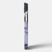 WA, Seattle, Moon bridge en vijver na winter 2 Case-Mate iPhone Case (Achterkant / Links)