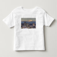 WA, Seattle, Mount Rainier uit Kerry Park