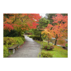 WA, Seattle, Washington Park Arboretum, 2 Foto Afdruk