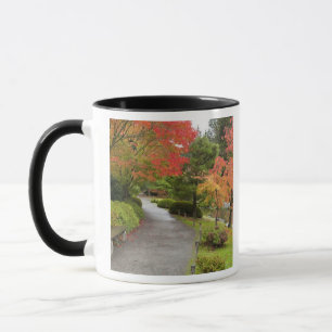WA, Seattle, Washington Park Arboretum, 2 Mok
