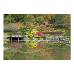 WA, Seattle, Washington Park Arboretum, 3 Foto Afdruk