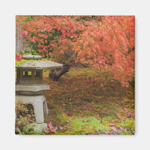 WA, Seattle, Washington Park Arboretum, Japans 2 Magneet