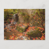 WA, Seattle, Washington Park Arboretum, Japans Briefkaart (Voorkant)