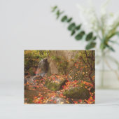 WA, Seattle, Washington Park Arboretum, Japans Briefkaart (Staand voorkant)