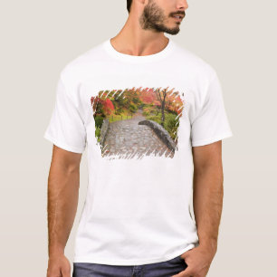 WA, Seattle, Washington Park Arboretum, T-shirt