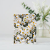 WA, Skagit-vallei, Daffodilpatroon Briefkaart (Staand voorkant)