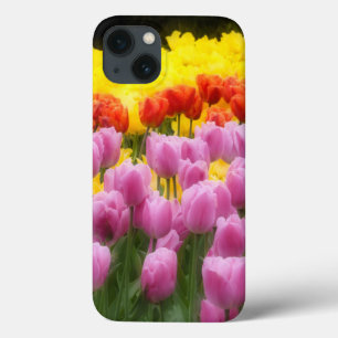 WA, Skagit Valley, Roozengaarde Tulip Garden, 2 iPhone 13 Hoesje
