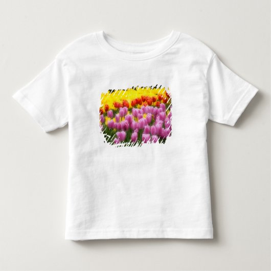 WA, Skagit Valley, Roozengaarde Tulip Garden, 2 Kinder Shirts (Voorkant)