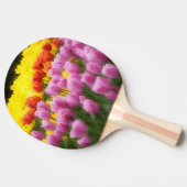 WA, Skagit Valley, Roozengaarde Tulip Garden, 2 Tafeltennisbatje (Zijkant)