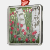 WA, Skagit Valley, Roozengaarde Tulip Garden Metalen Ornament (Links)