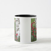 WA, Skagit Valley, Roozengaarde Tulip Garden Mok (Midden)