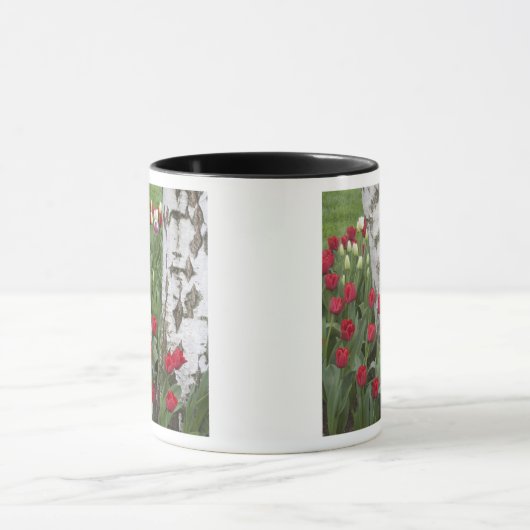 WA, Skagit Valley, Roozengaarde Tulip Garden Mok (Midden)