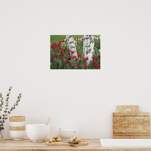 WA, Skagit Valley, Roozengaarde Tulip Garden Poster (Keuken)