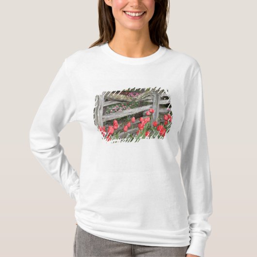 WA, Skagit Valley, Roozengaarde Tulip Garden T-shirt (Voorkant)