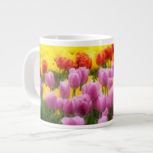 WA, Skagit Valley, Roozengaarde Tulpen Tuin, 2 Grote Koffiekop