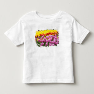 WA, Skagit Valley, Roozengaarde Tulpen Tuin, 2 Kinder Shirts
