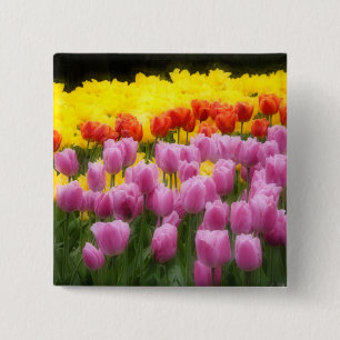 WA, Skagit Valley, Roozengaarde Tulpen tuin, 2 Vierkante Button 5,1 Cm