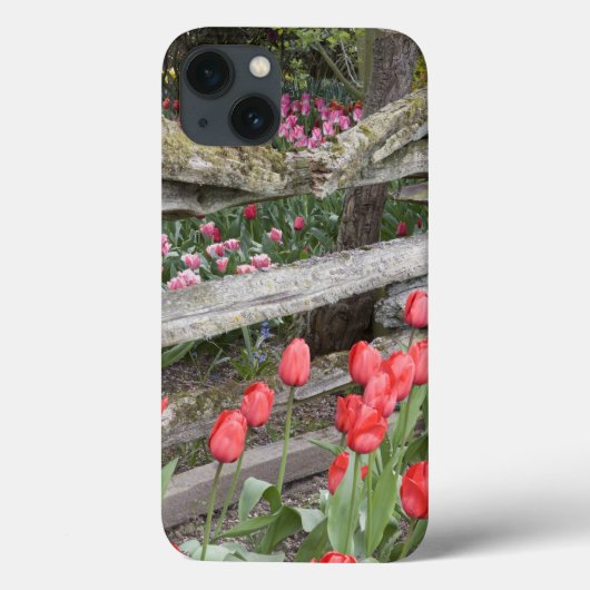 WA, Skagit Valley, Roozengaarde Tulpen tuin, Case-Mate iPhone Case (Achterkant)