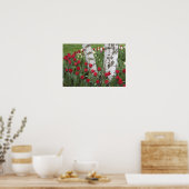 WA, Skagit Valley, Roozengaarde Tulpen tuin Poster (Keuken)
