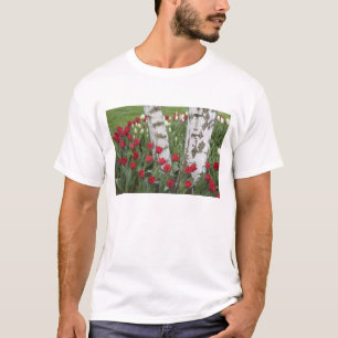 WA, Skagit Valley, Roozengaarde Tulpen tuin T-shirt