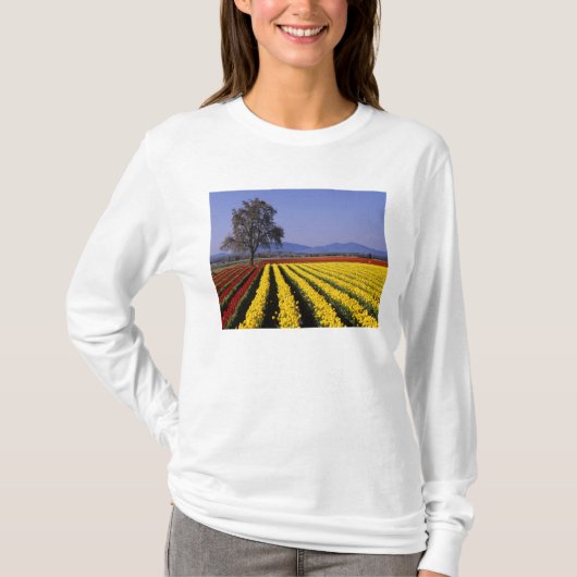 WA, Skagit Valley, Skagit Valley Tulip 2 T-shirt (Voorkant)