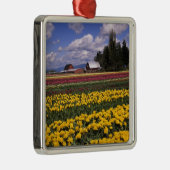 WA, Skagit Valley, Skagit Valley Tulip Metalen Ornament (Rechts)