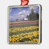 WA, Skagit Valley, Skagit Valley Tulip Metalen Ornament (Links)