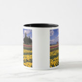 WA, Skagit Valley, Skagit Valley Tulip Mok (Midden)