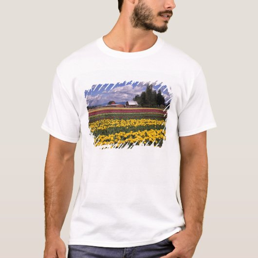 WA, Skagit Valley, Skagit Valley Tulip T-shirt (Voorkant)