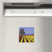 WA, Skagit Valley, Skagit Valley Tulp 2 Magneet (Insitu (Vaatwasser))