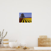 WA, Skagit Valley, Skagit Valley Tulp 2 Poster (Keuken)